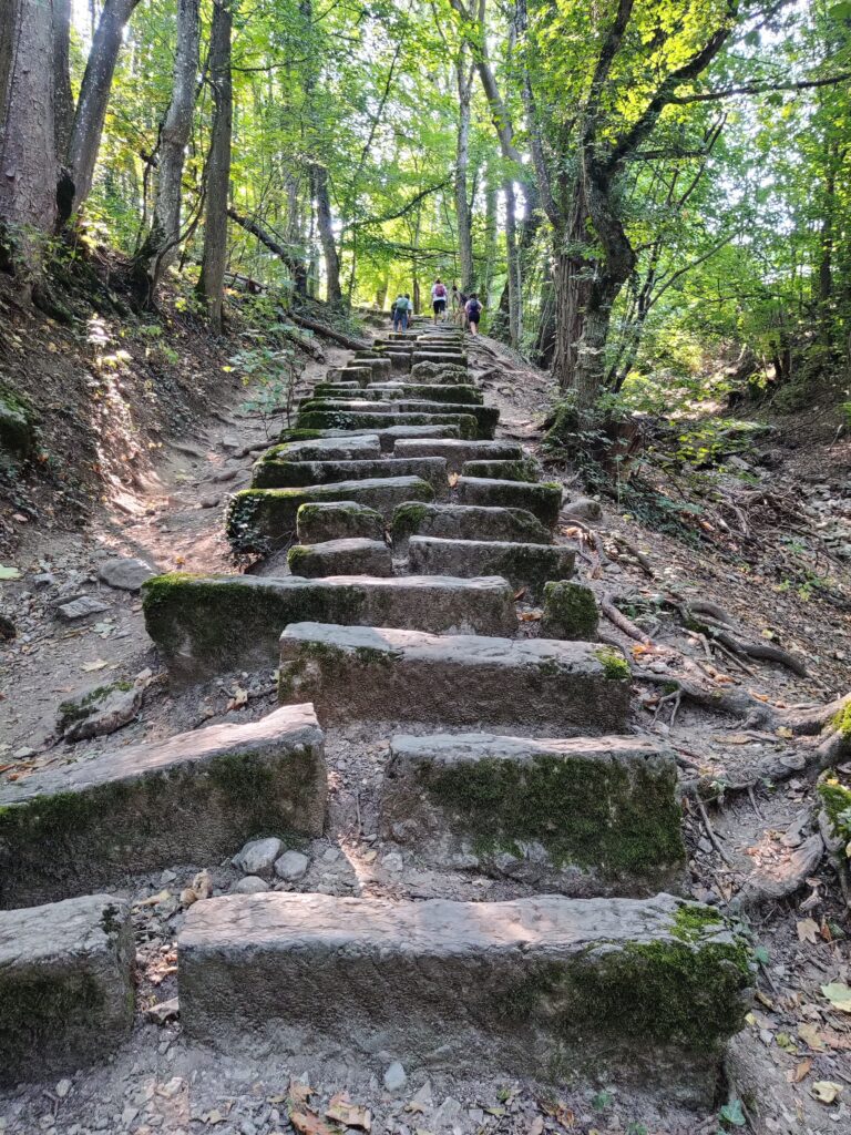 saleve